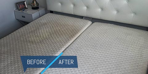 supreme carpet & upholstery cleaning in philadelphia area rug cleaning upholstery furniture cleaning mattress pet stain urine removal